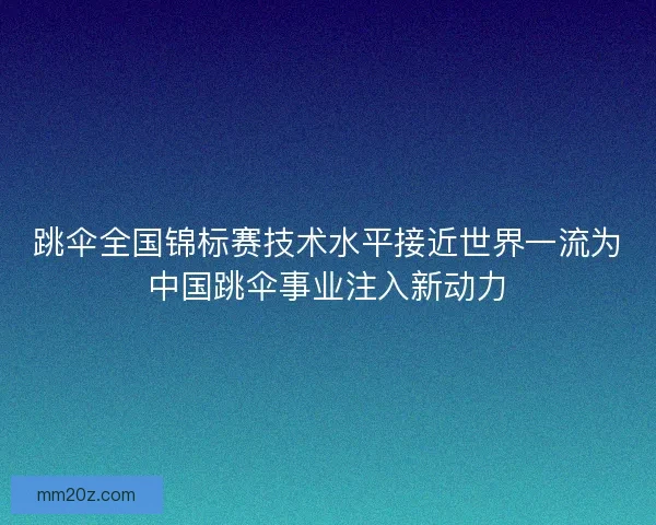 跳伞全国锦标赛技术水平接近世界一流为中国跳伞事业注入新动力