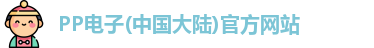 PP电子
